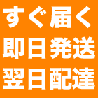 ���X�j���O�h�N�^�[