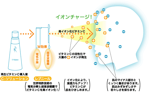 ���u�j�[���C���[�W