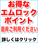 �G�����b�N�|�C���g