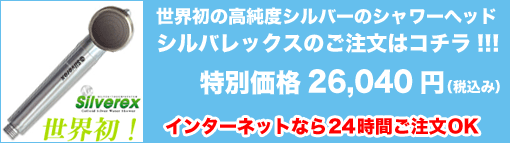 �V�����[�w�b�h�̂�����