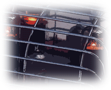 SW ������