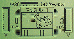 引き締まった体に